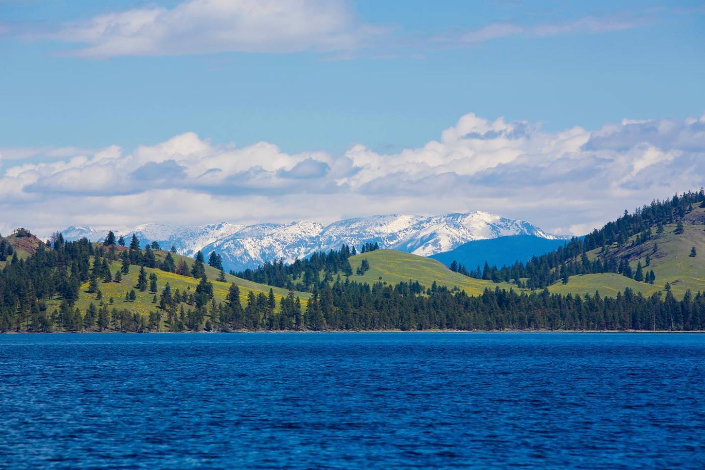 Flathead Lake Cruising Guide in Montana | Go Sail Flathead Lake