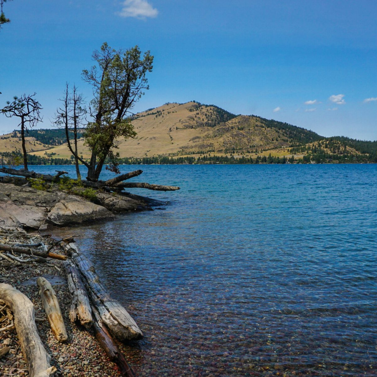 a body of water