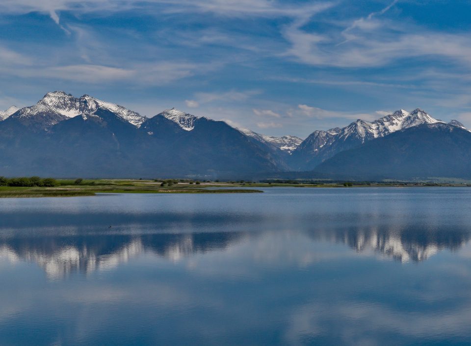 8d46e630-6926-48a2-a31c-5245cf0492f9 8d46e630-6926-48a2-a31c-5245cf0492f9